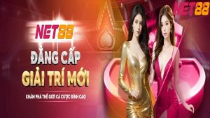 Giới thiệu nhà cái giải trí mới Net88