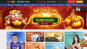 Hướng dẫn đăng nhập Net88